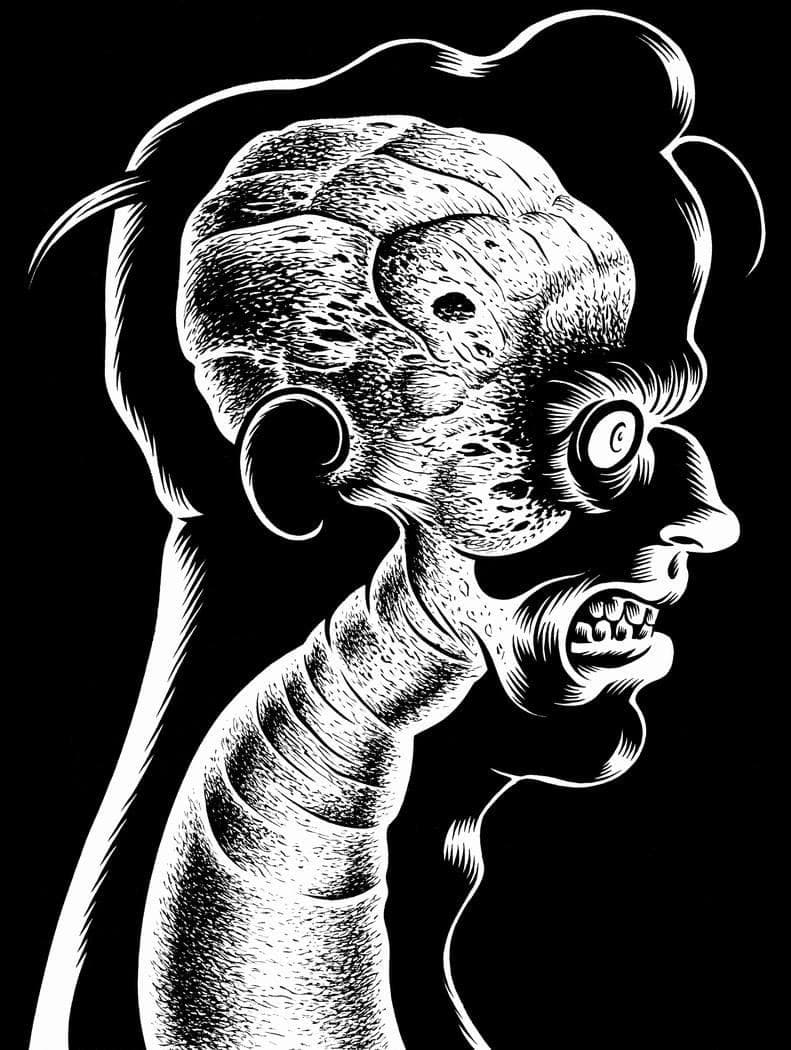 Artwork by Charles Burns.
A striking black-and-white vision of duality, mutation and inner darkness.