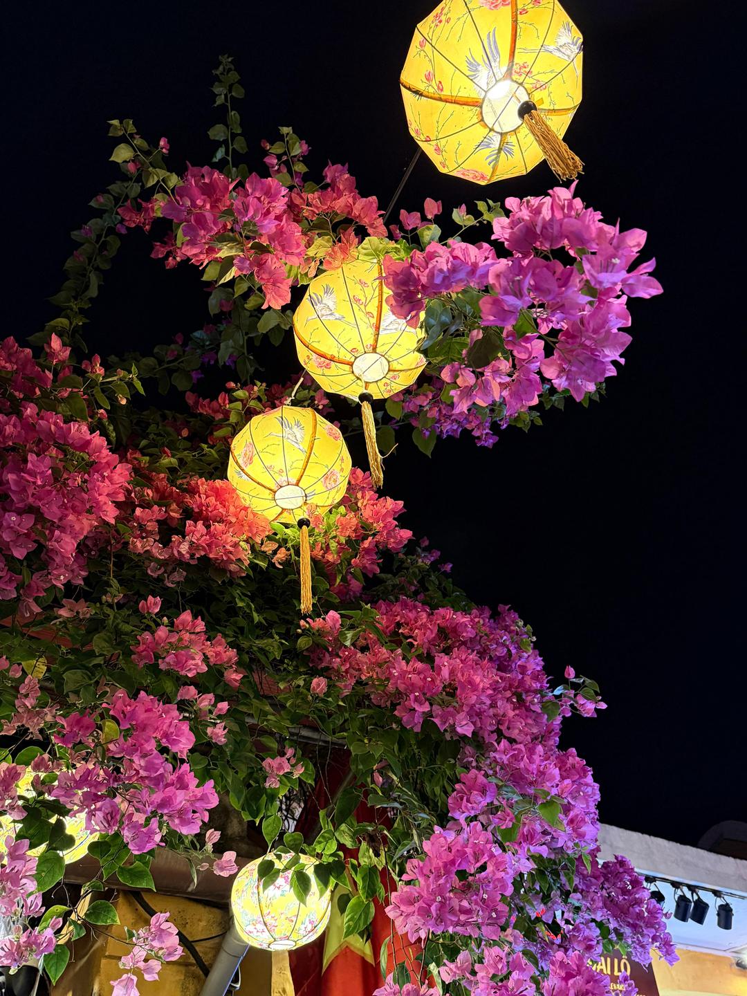 Hoi An Vietnam (4 of 5)