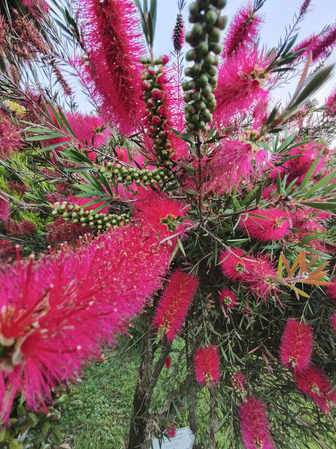 Flover;) (2 of 2)