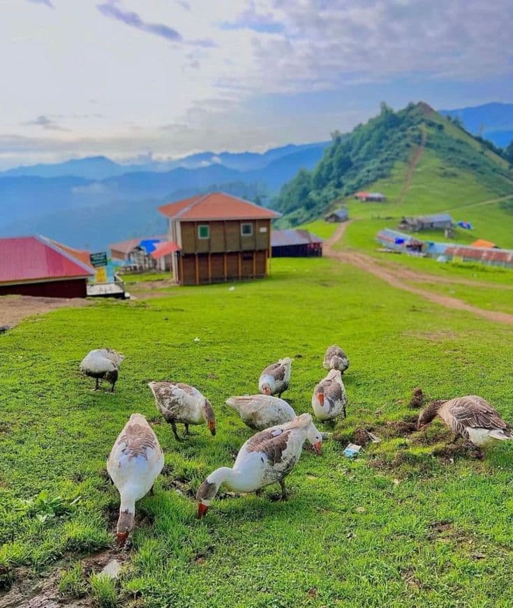welcome to the beautiful Iran
Asalem in Mazandaran province
have a good day