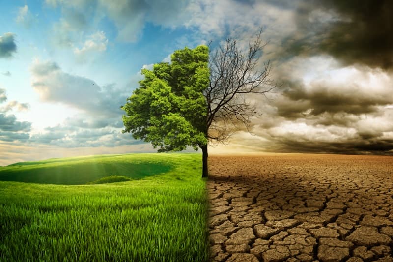 Climate change is so severe that we feel it every day. Everyone thinks about themselves and their own interests. They should leave this world because the world is not about one person, it is about all people, all animals, and...