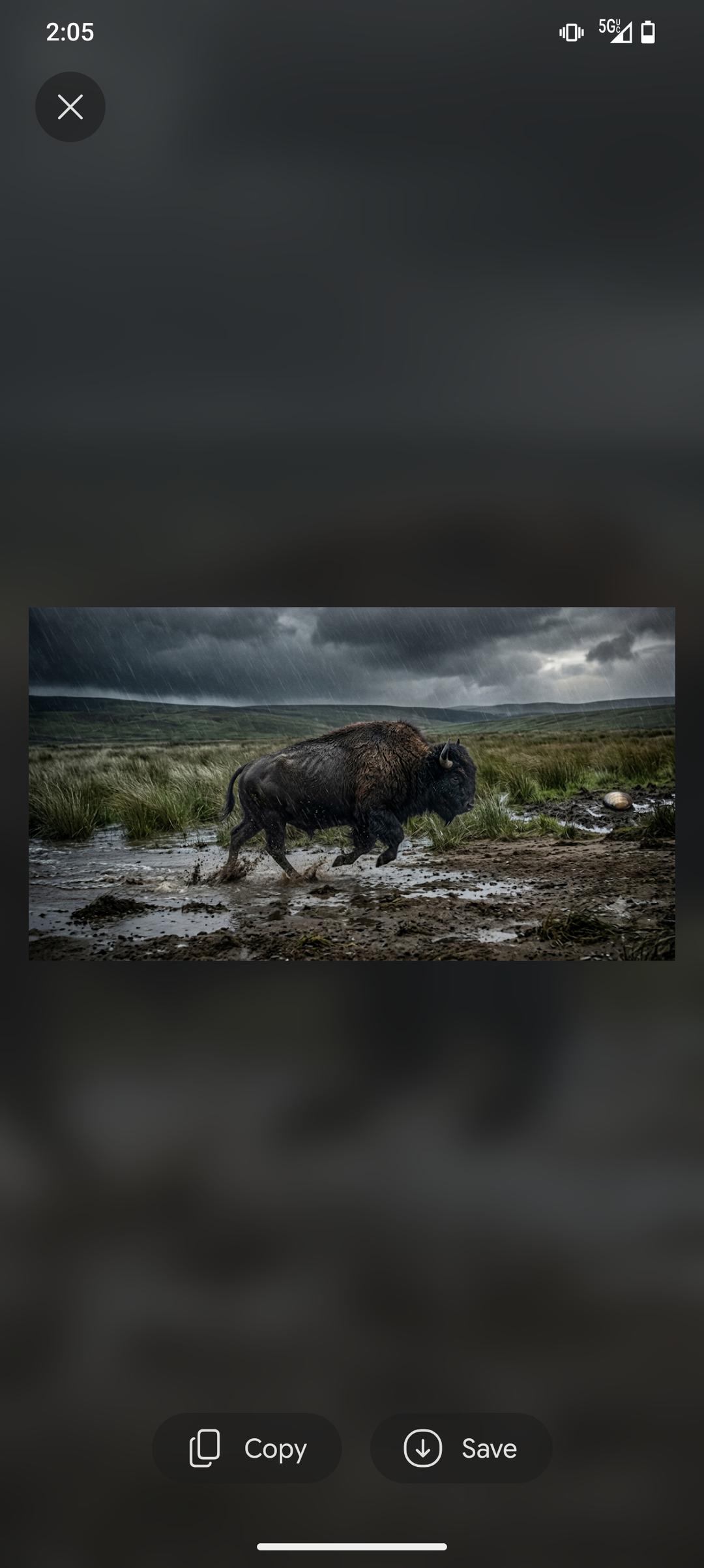 The Buffalo 🦬 faces the storm head on, So that it gets through it faster. while other animals run away. Which one is you!?