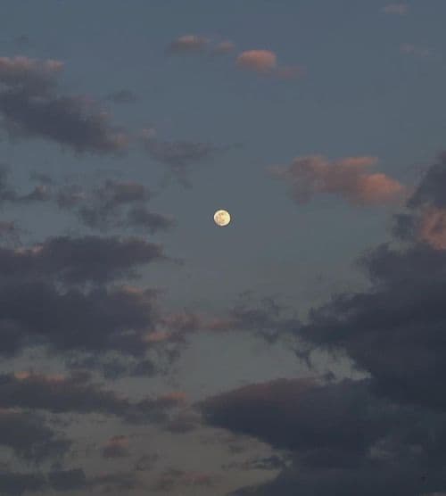 how does this one look