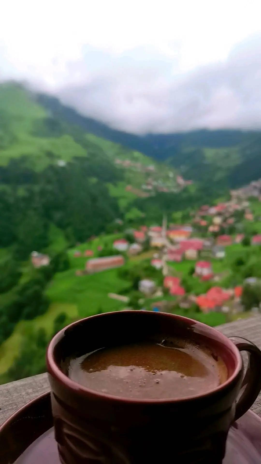 True beauty is a cup of coffee... and the color green ๐๐ณ๏ธ
