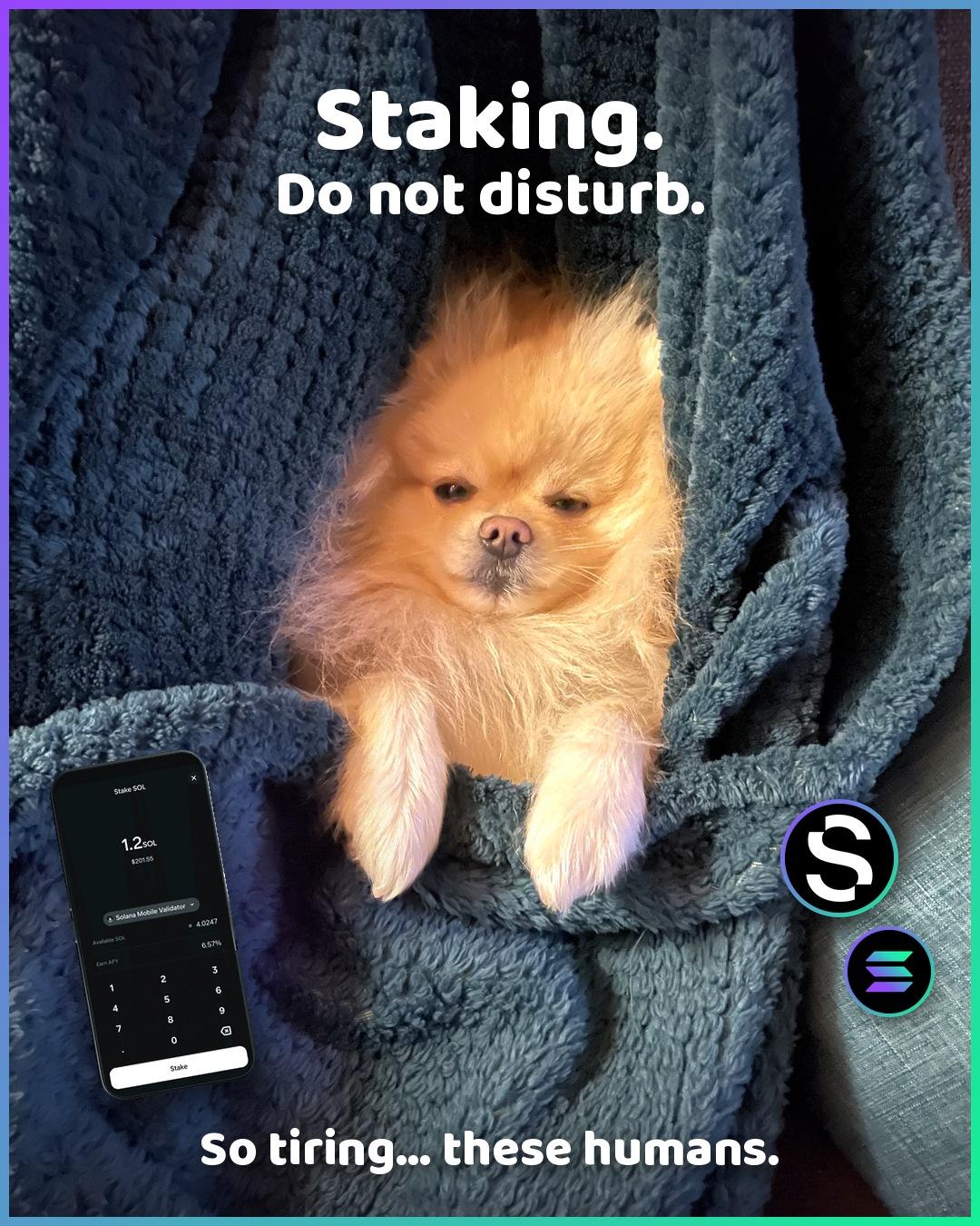 Day one on ORVI and I'm already exhausted.
Staking my SKR, staking my naps. Both compound.
Wake me up when the rewards land. Or don't.
So tiring... these humans.
#Seeker #SKR #Solana #SolanaMobile #gm