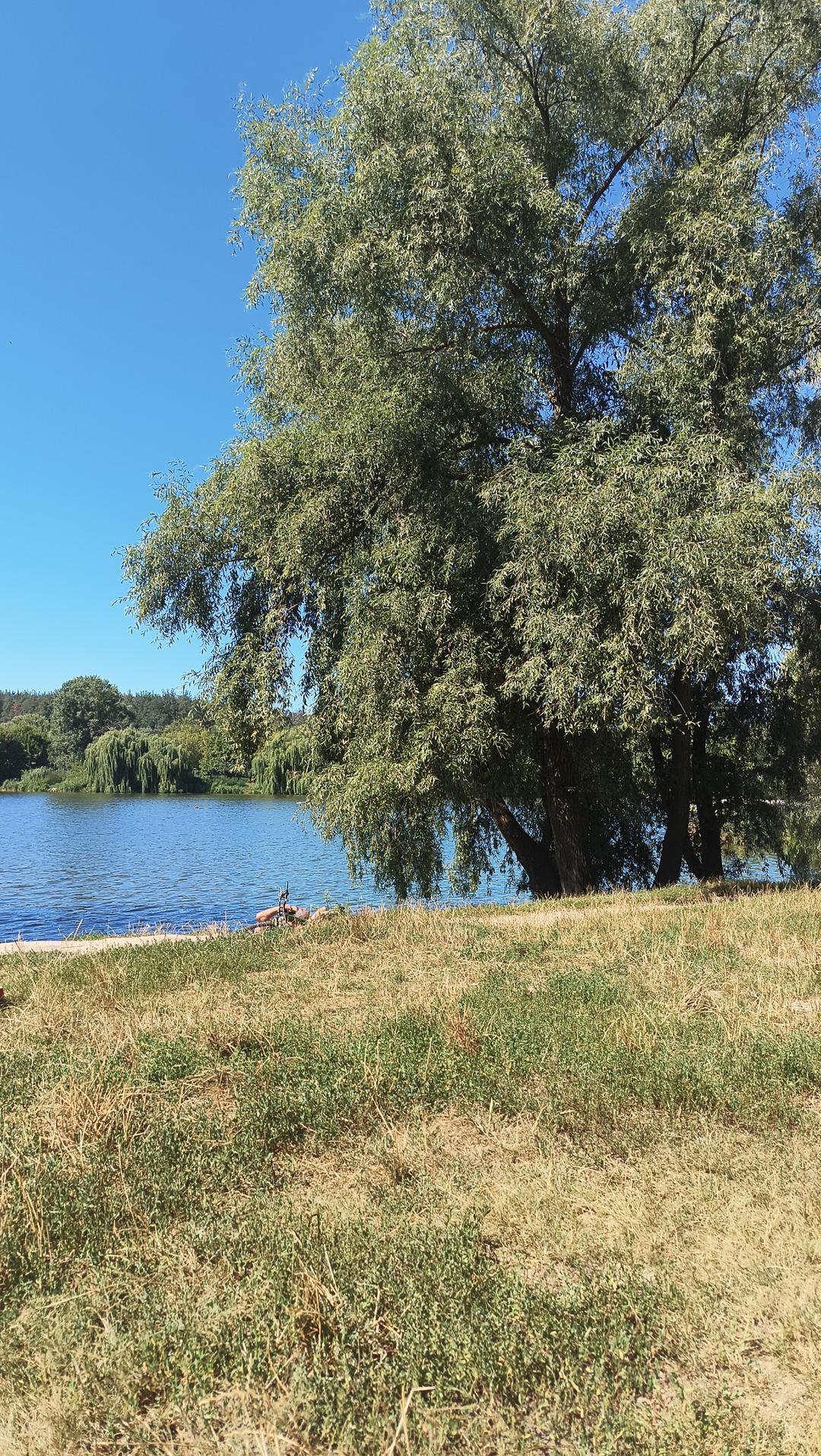 ☀️ Sunday, day off. Enjoying the summer vibes! 🌳🇺🇦
☀️ Воскресенье, выходной день. Наслаждаемся летом! 🌳🇺🇦