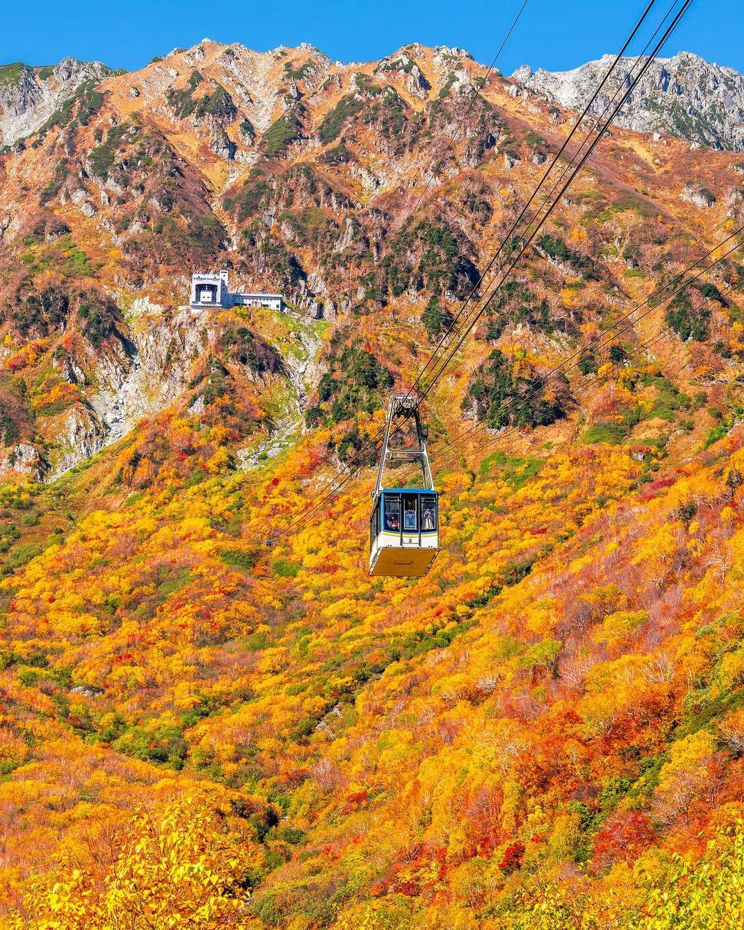Where is this?