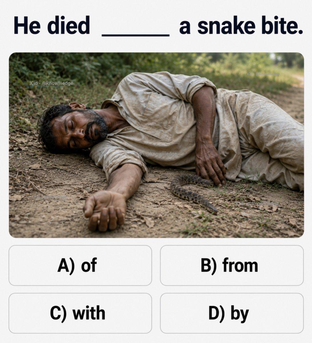 let's check your grammar