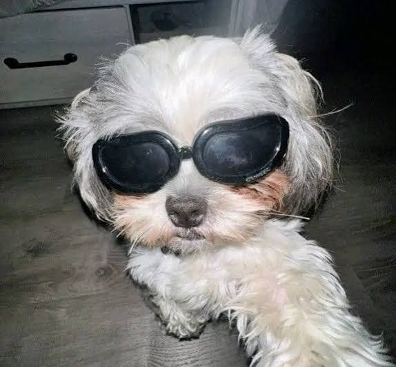 👋