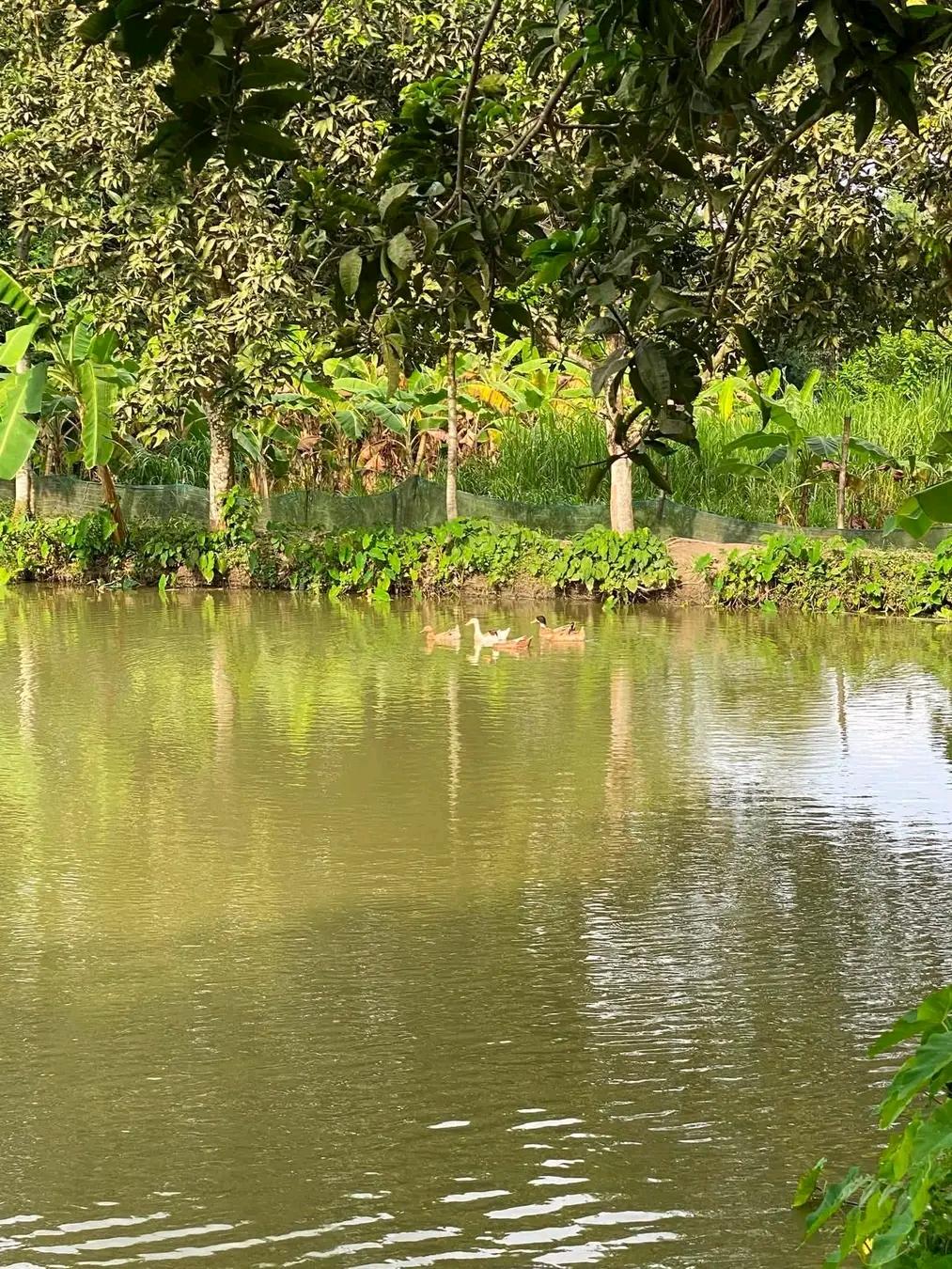 nature