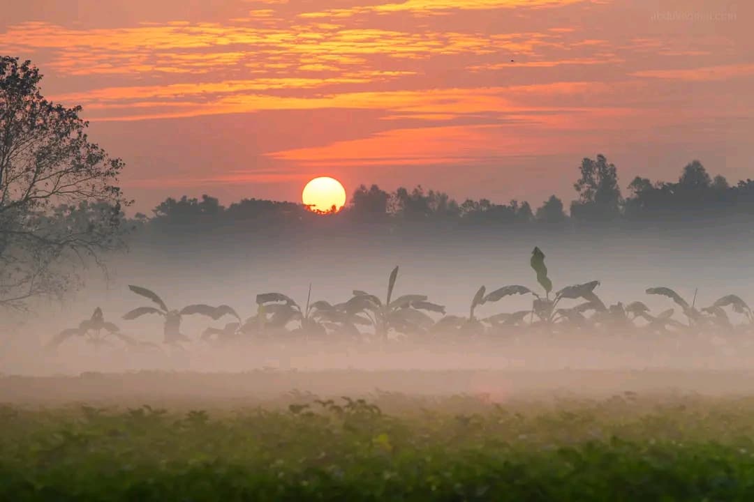 GM 🌄