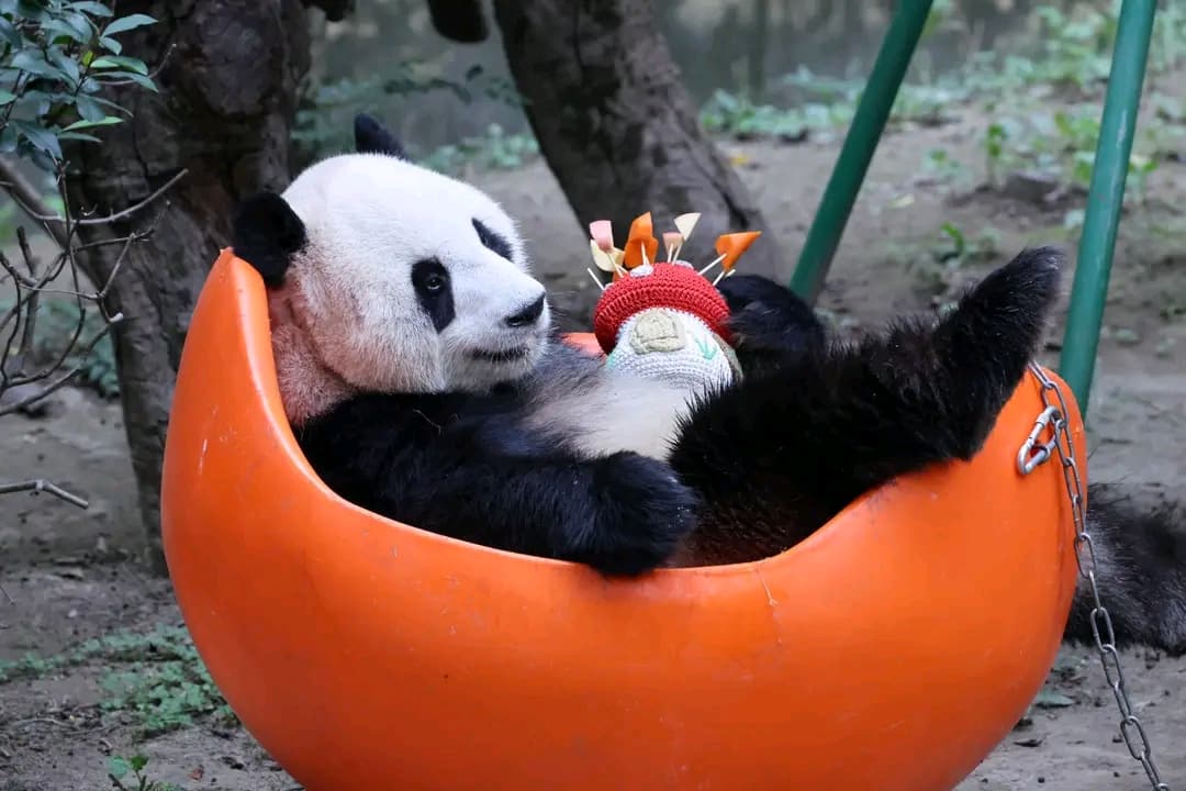 Have a relax....🙌