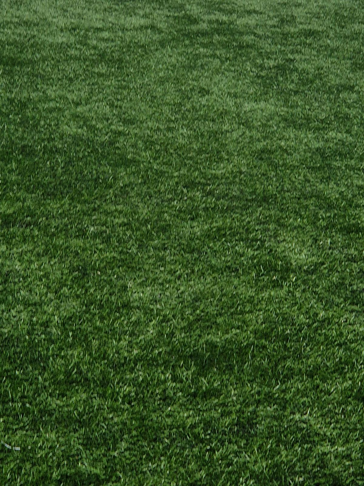 about my grass?