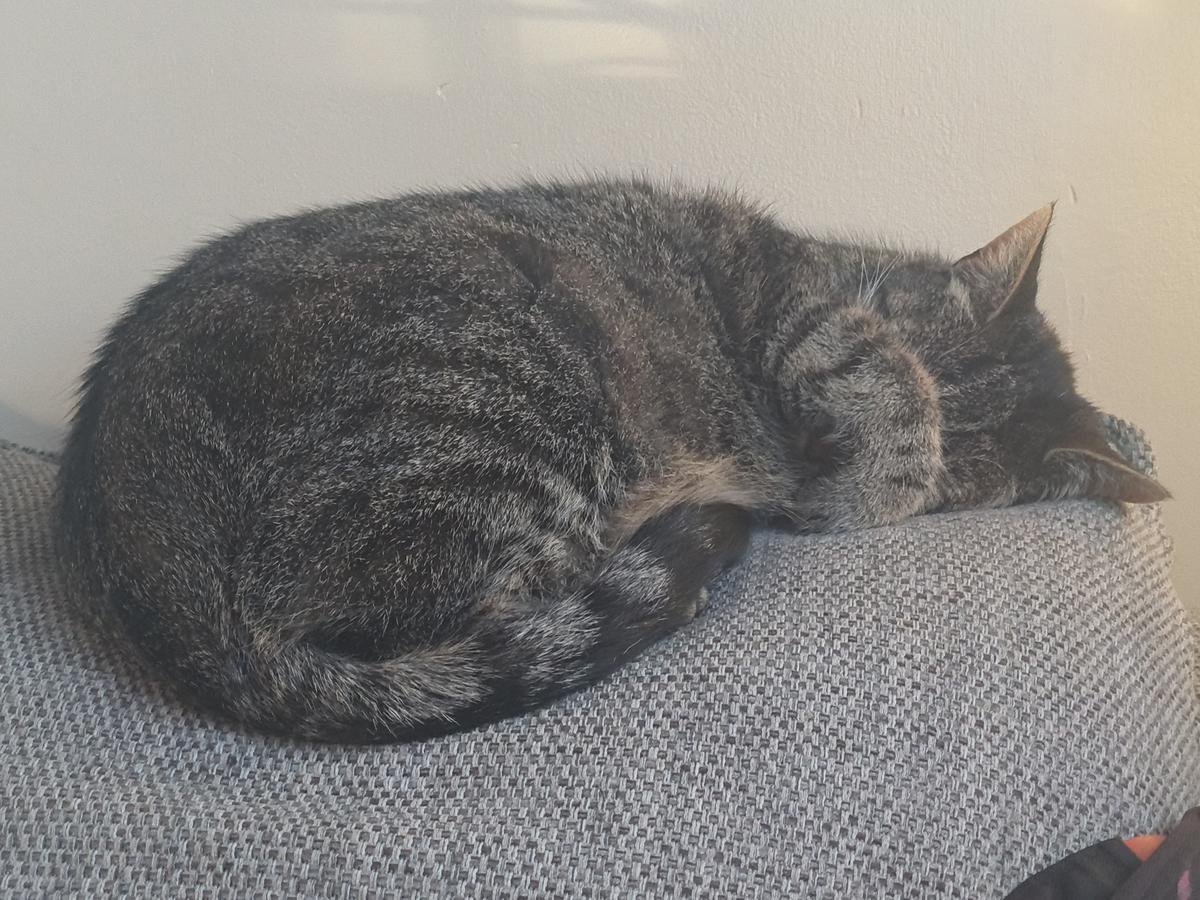 Don't Disturb:)