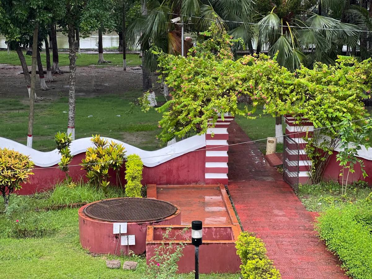 natural view