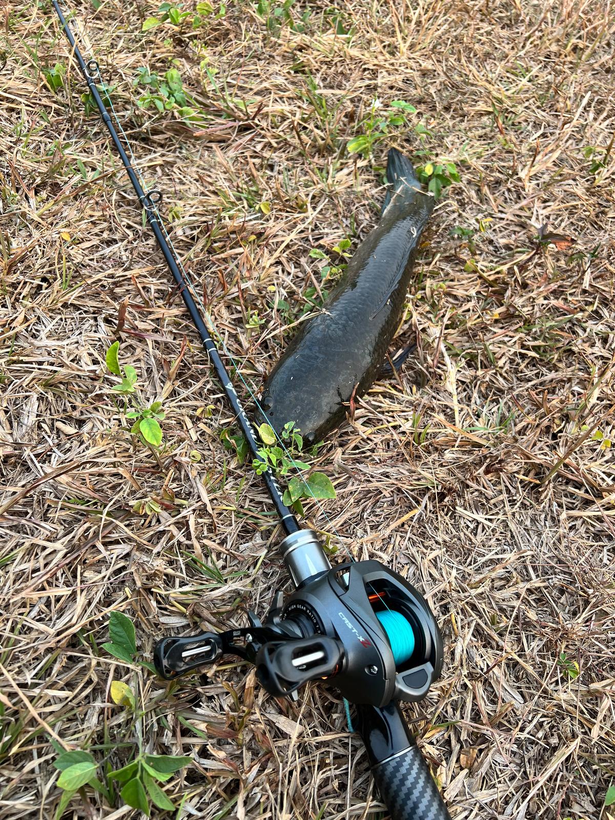 small but sturdy