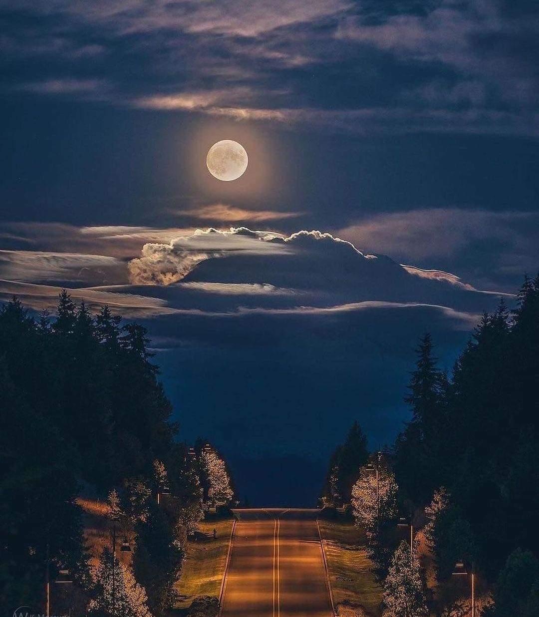 🌙 🌚 🌔