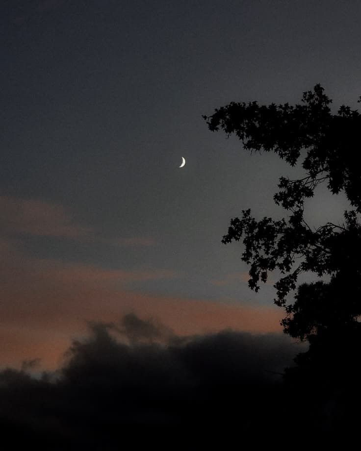 a beautiful night