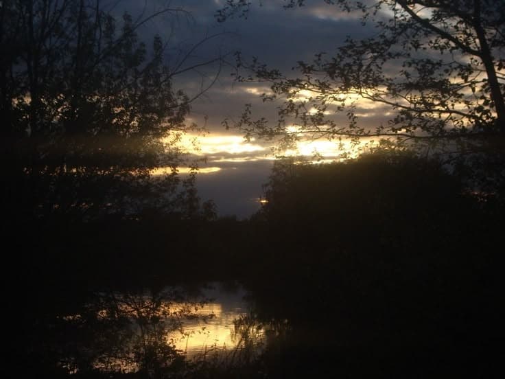 a beautiful scenery