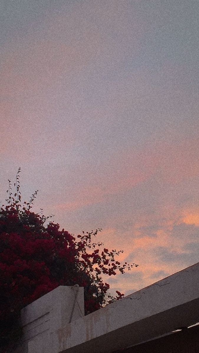 Just a simple photo today