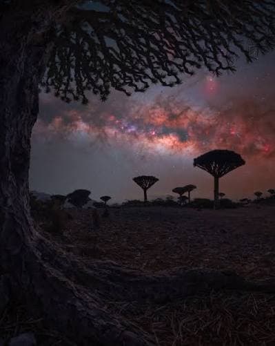 Yemen's Socotra Island at sunset