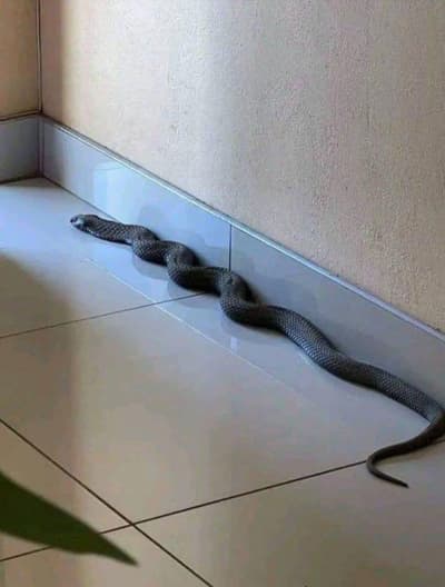 What are you going to do, lol? 
I'm still scared