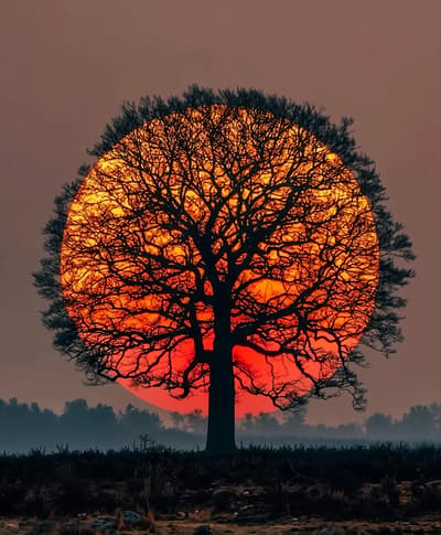 Even the sun knows when to set, making room for a new day.