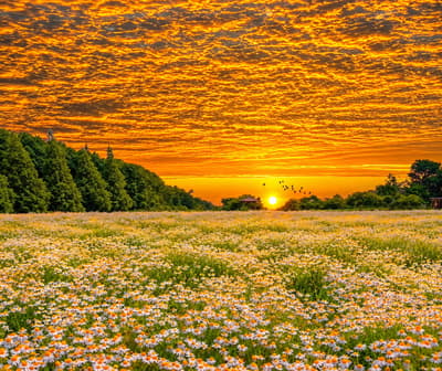 Beautifull Sunset