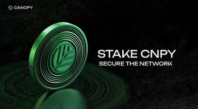 The biggest scam in the crypto world that you read