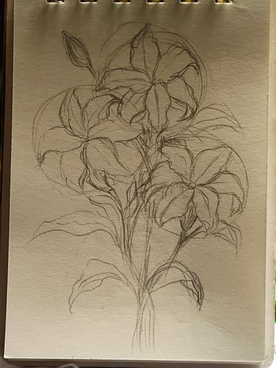 art