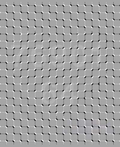 What you see