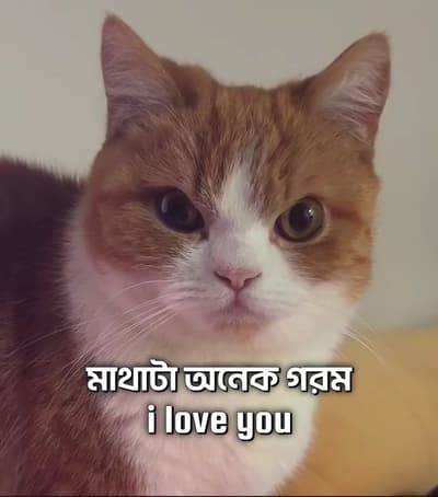 😗
