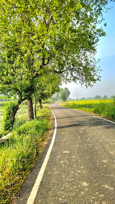 Nature