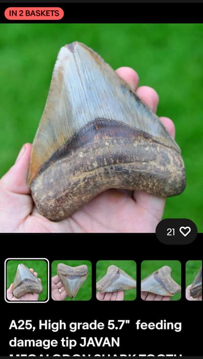 seen these on eBay