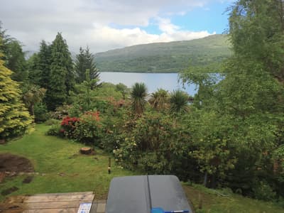 this week's view