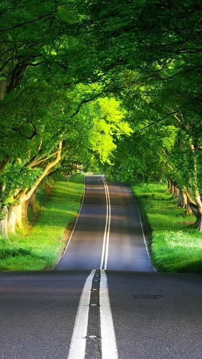 road 😌