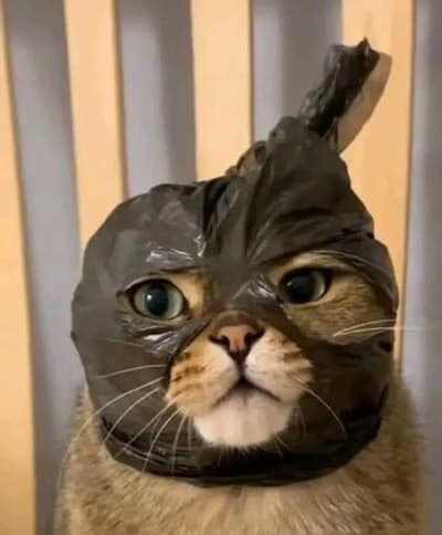 Hello everyone, I just joined! Let’s follow each other 🤝