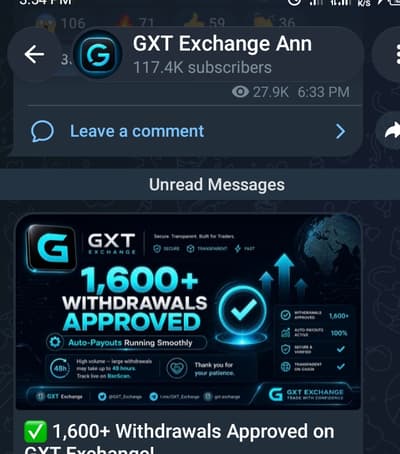 THIS EXCHANGE CALLED GXT EXCHANGE RUN AWAY FROM IT WITH SPEED THEY ARE THEY ARE SCAMMERS