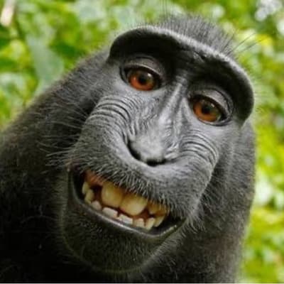 smile