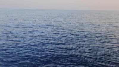 Dolphins dancing under the boat in the stunning waters near Ponza Island. A breathtaking moment in the open sea between Rome and Naples