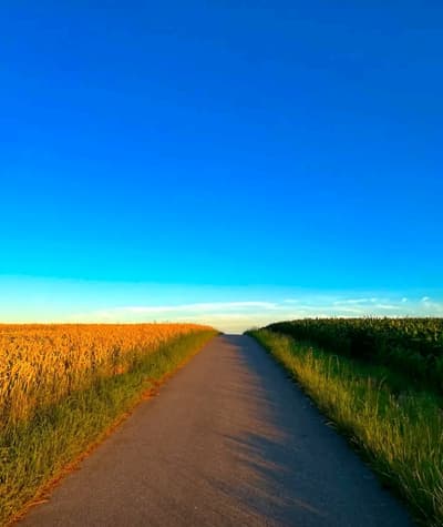 💛🛣💚