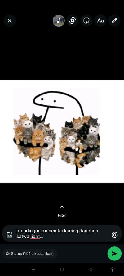 memecat