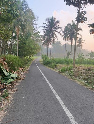 If walking can make you healthy, why leave it?