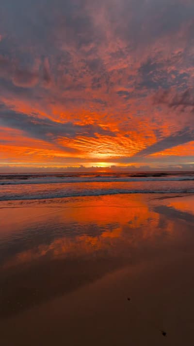🌊🌇