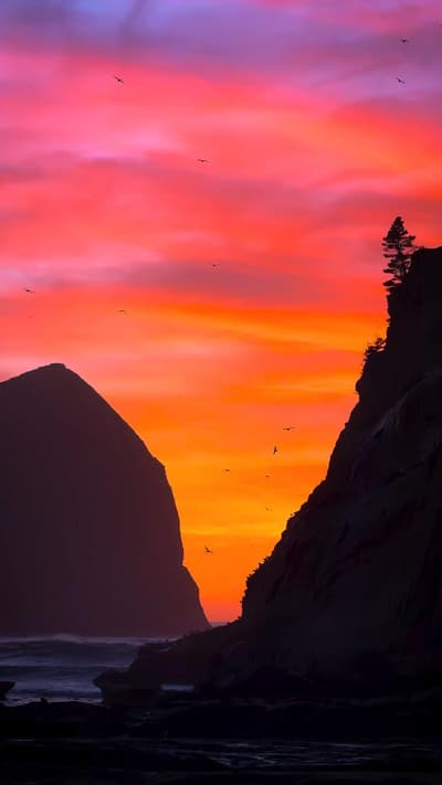This is divine tranquility 🌄