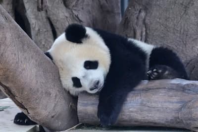 Exhausted... 😓