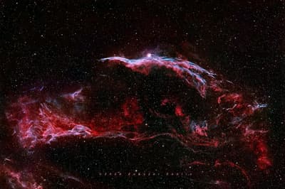 Nebula ❤️