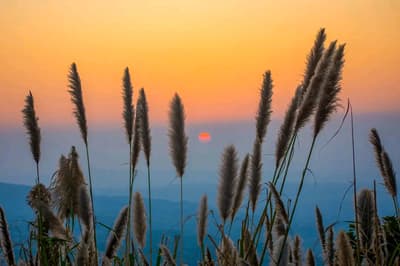 Good Morning 🌄