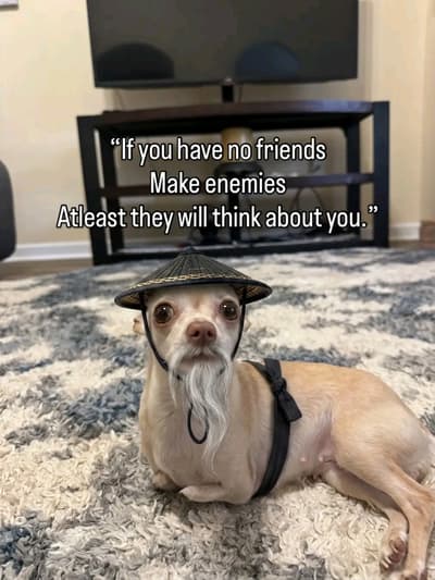 Make enemies