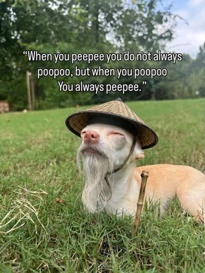 Word....